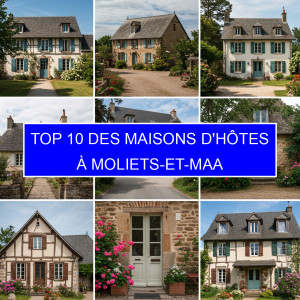 Top 1 des Maisons d'hôtes à Moliets-et-Maa
