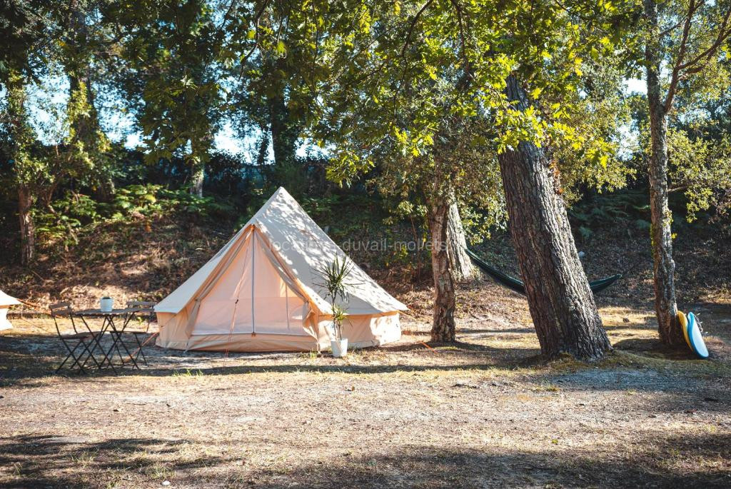 photo de WolfCamp Surf Moliets
