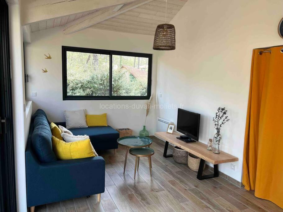 photo de Maison au calme sous les pins