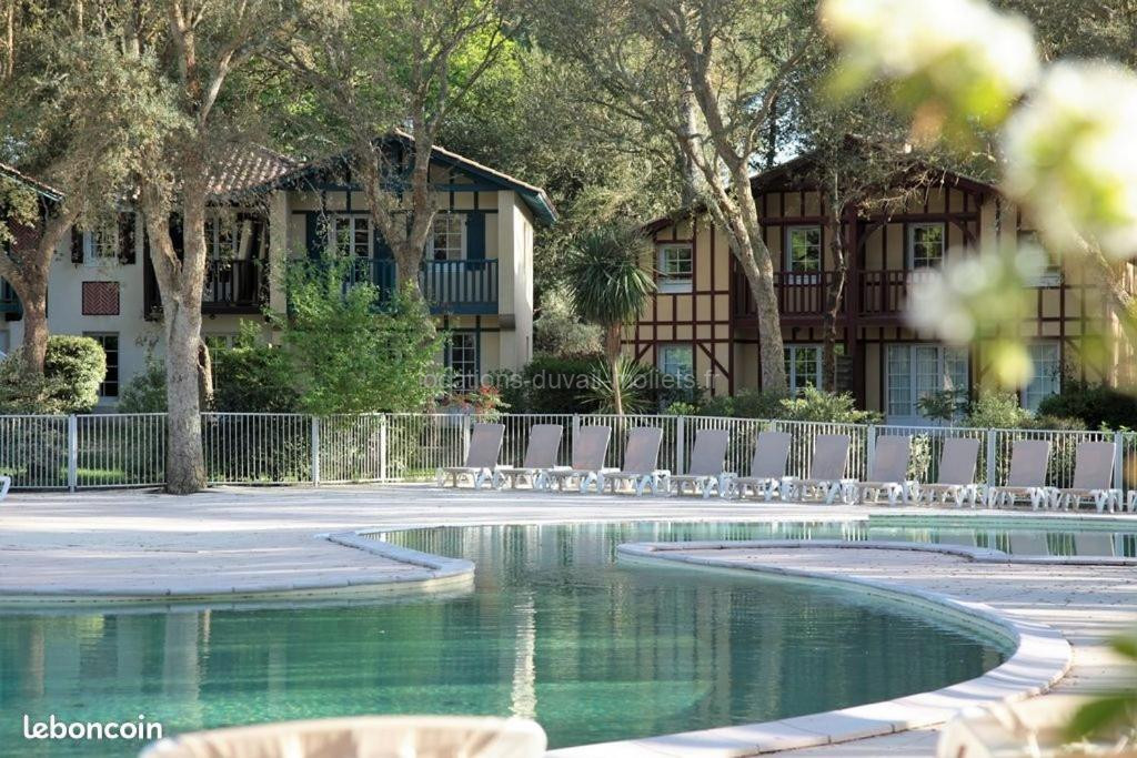 photo de Maison les pieds dans l'eau, piscine et plage à pieds
